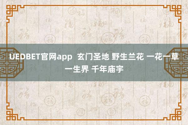 UEDBET官网app  玄门圣地 野生兰花 一花一草一生界 千年庙宇