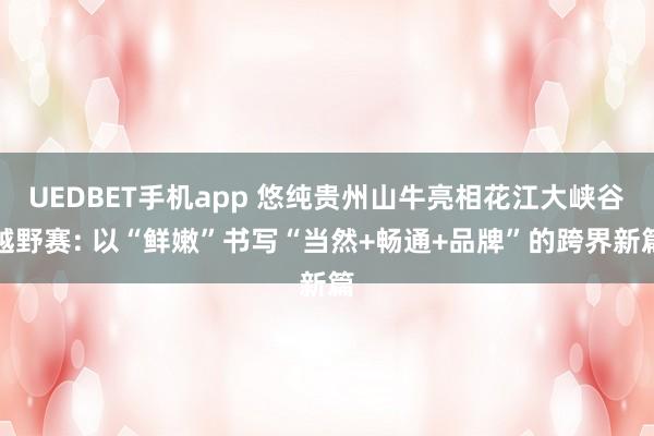 UEDBET手机app 悠纯贵州山牛亮相花江大峡谷越野赛: 以“鲜嫩”书写“当然+畅通+品牌”的跨界新篇