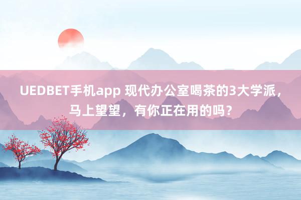 UEDBET手机app 现代办公室喝茶的3大学派，马上望望，有你正在用的吗？