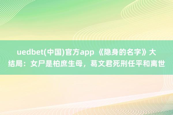 uedbet(中国)官方app 《隐身的名字》大结局：女尸是柏庶生母，葛文君死刑任平和离世
