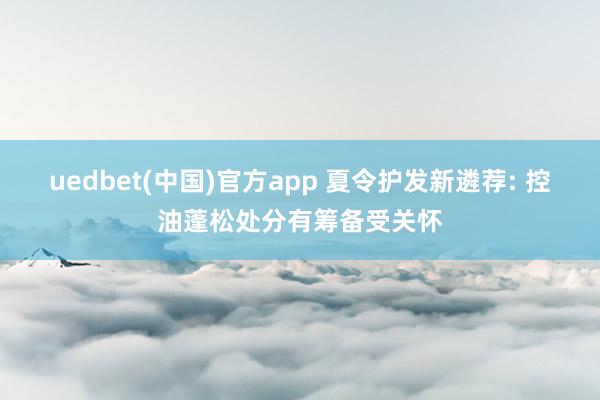 uedbet(中国)官方app 夏令护发新遴荐: 控油蓬松处分有筹备受关怀