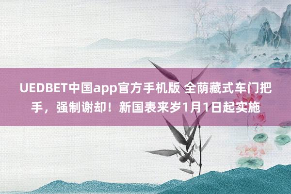 UEDBET中国app官方手机版 全荫藏式车门把手，强制谢却！新国表来岁1月1日起实施