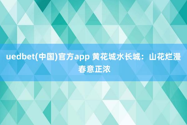 uedbet(中国)官方app 黄花城水长城：山花烂漫 春意正浓