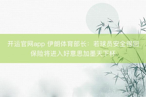 开运官网app 伊朗体育部长：若球员安全得回保险将进入好意思加墨天下杯